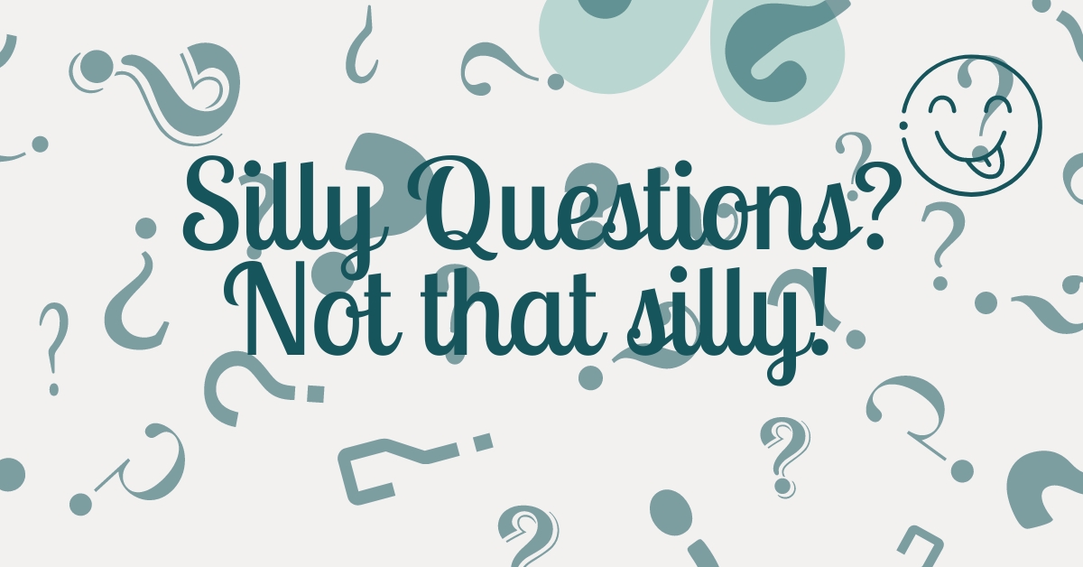 Silly Questions? Why not! A great warm-up activity in an English classroom